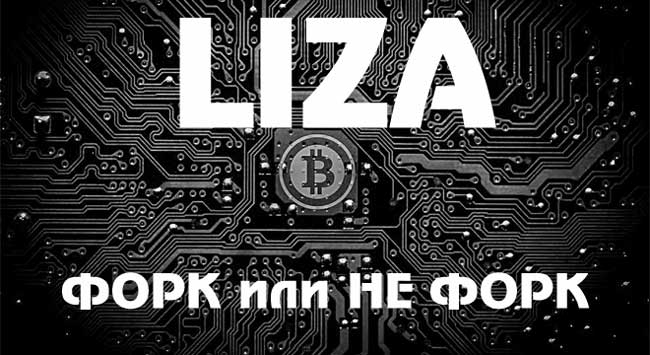  показатели форка Liza