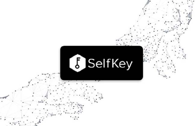 SelfKey криптовалюта