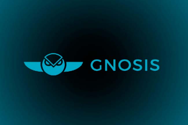 Перспективы Gnosis на 2019 год