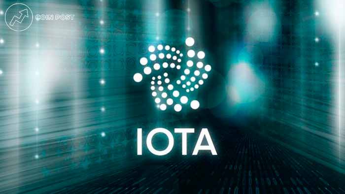 IOTa кошелек